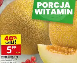 Twój Market Melon Galia, 1 kg oferta