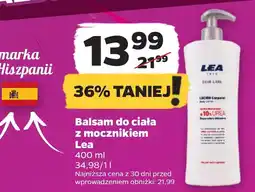 Netto Balsam do ciała Lea oferta
