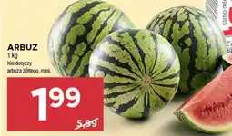 Stokrotka Arbuz oferta