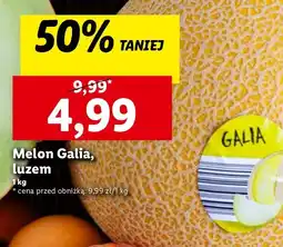 Lidl Melon Galia oferta