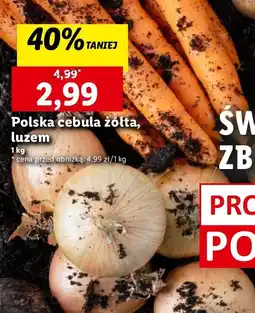 Lidl Cebula żółta oferta