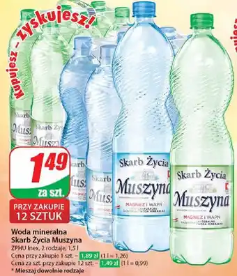 Dino Woda gazowana Muszyna Skarb Życia oferta