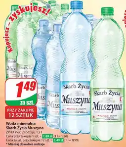 Woda lekko gazowana Muszyna Skarb Życia