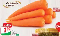 Dino Marchew polska oferta