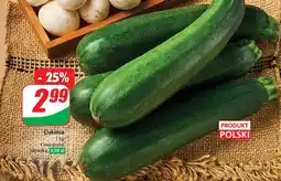 Dino Cukinia polska oferta