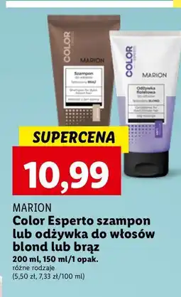 Lidl Szampon do włosów siwych Marion Professional Color Esperto oferta