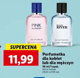 Lidl Woda toaletowa Black River oferta