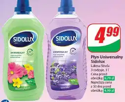Dino Płyn do mycia wiosenny bukiet Sidolux Uniwersalny oferta