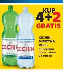 Kaufland Woda niskonasycona Muszyna Cechini oferta
