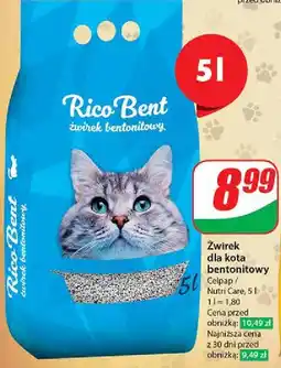 Dino Żwirek bentonitowy Rico Bent oferta