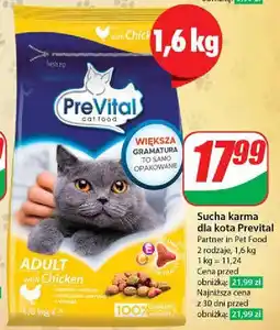 Dino Karma dla kota z kurczakiem Prevital oferta