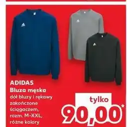 Kaufland Bluza męska m-xxl Adidas oferta