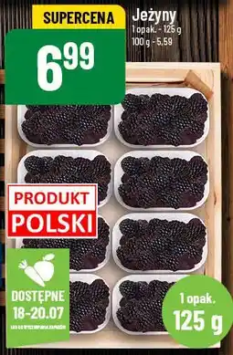 Jeżyny