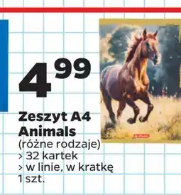 Netto Zeszyt a4/32k linia animals Herlitz oferta