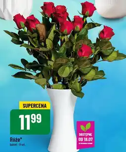 Polomarket Róże oferta