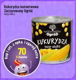 Polomarket Kukurydza konserwowa Zaczarowany Ogród oferta