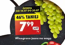 Biedronka Winogrona jasne oferta