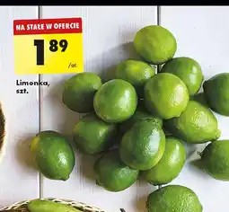 Biedronka Limonka oferta