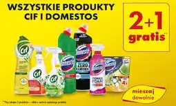 Biedronka Spray do czyszczenia floral fiesta Domestos Power Foam oferta