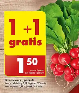 Biedronka Rzodkiewka oferta