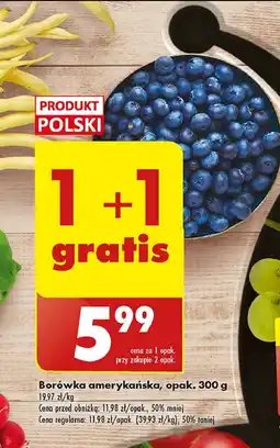 Biedronka Borówka amerykańska oferta