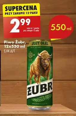 Biedronka Piwo Żubr 1768 oferta