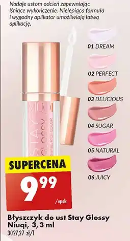 Biedronka Błyszczyk do ust 05 natural Niuqi Stay Glossy oferta