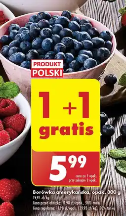 Biedronka Borówki amerykańskie polska oferta