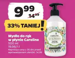 Netto Mydło w płynie spring blossom Careline oferta