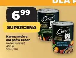 Netto Karma dla psa z kurczakiem Cesar (Karma) oferta