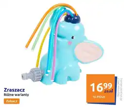 Action Zraszacz oferta