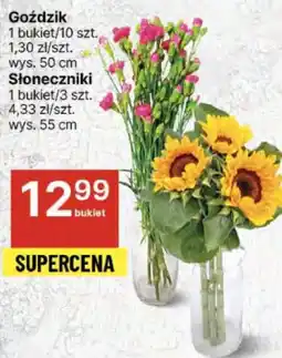 Delikatesy Centrum Goździk oferta