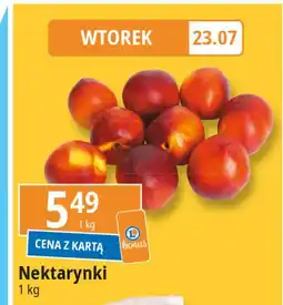 E.Leclerc Nektarynki oferta