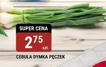 bi1 Cebula dymka pęczek oferta