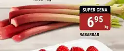 Rabarbar