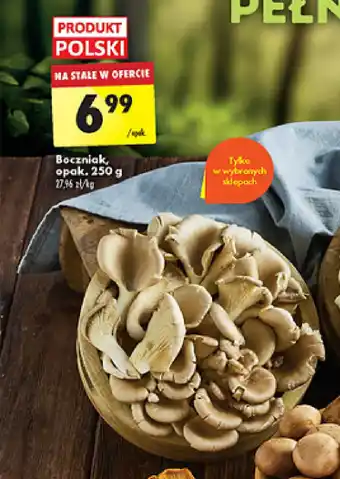 Biedronka Boczniak, 250 g oferta