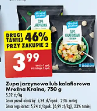Biedronka Zupa jarzynowa lub kalafiorowa Mroźna Kraina, 750 g oferta