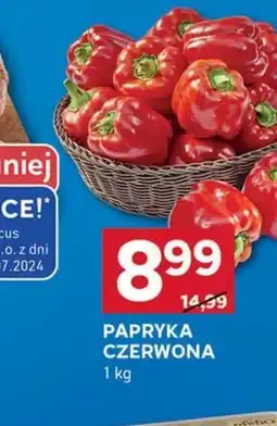 Stokrotka Optima Papryka oferta
