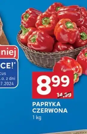 Stokrotka Optima Papryka oferta