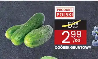 Wafelek Ogórek gruntowy oferta