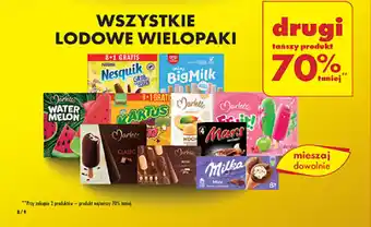 Biedronka WSZYSTKIE LODOWE WIELOPAKI oferta