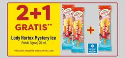 Lody Hortex Mystery Ice Polski Ogród, 70 ml