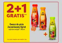 Polomarket Owoce do picia Zaczarowany Ogród, 300 ml oferta