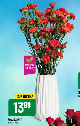 Polomarket Goździki 7 szt. oferta