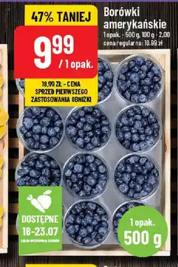 Polomarket Borówki amerykańskie 500 g oferta