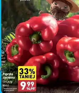 ALDI Papryka oferta