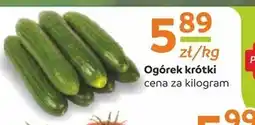 Społem Ogórek oferta