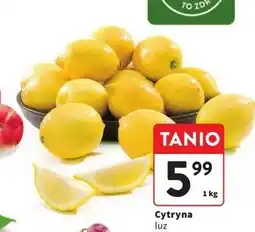 Intermarche Cytryna oferta