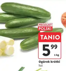 Intermarche Ogórek krótki luzem oferta