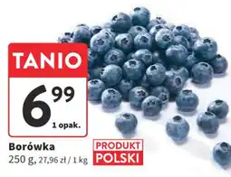 Intermarche Borówka 250 g oferta